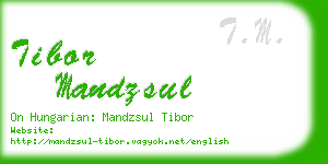 tibor mandzsul business card